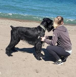 Meet your Posher, Ashley